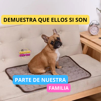 SuperFreshDog™ - Cama Refrescante PREMIUM para perros